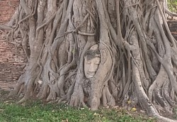 วัดพระมหาธาตุ วัดดังอันดับต้นๆของอยุธยา